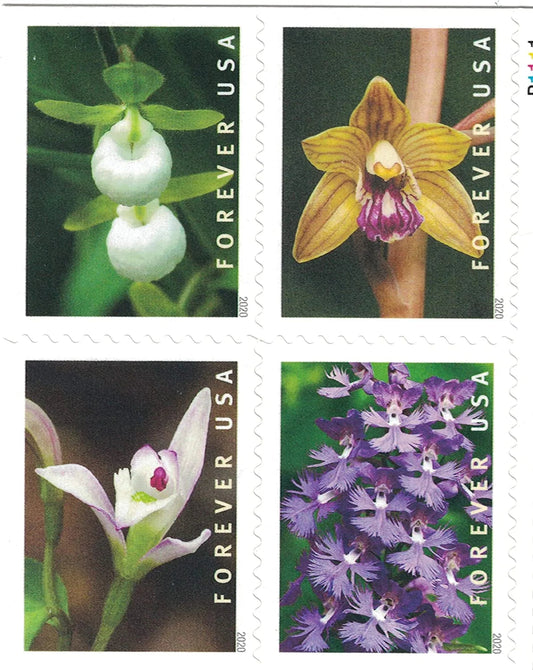 Wild Orchids Forever First Class Postage Stamps