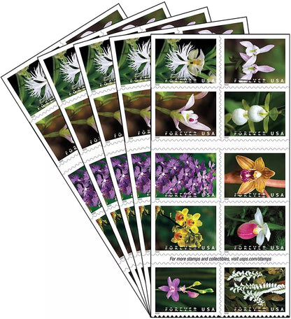 Wild Orchids Forever First Class Postage Stamps